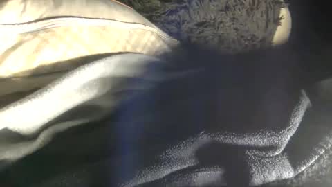 Tierra Henri online show from December 23, 11:28 pm