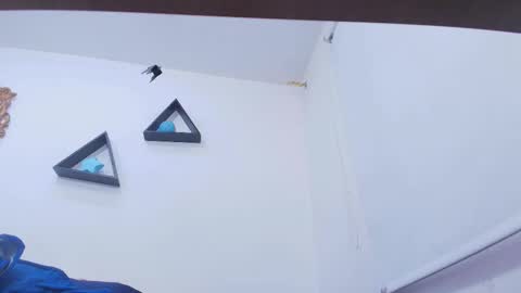 tinkerbell online show from November 26, 7:48 pm