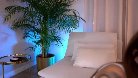 Anissa online show from February 19, 3:11 pm