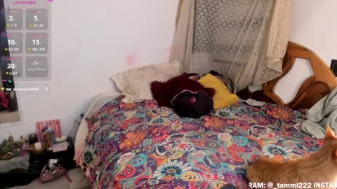 Tokyo  online show from March 26, 4:58 am