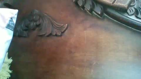Snapshot of triana_bell chatting on February 16, 4:32 pm triana_bell online show from February 16, 4:32 pm