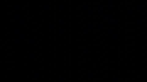 Trisha online show from April 22, 12:35 pm