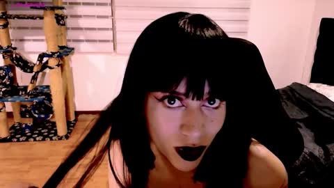 Cait online show from December 4, 3:09 am