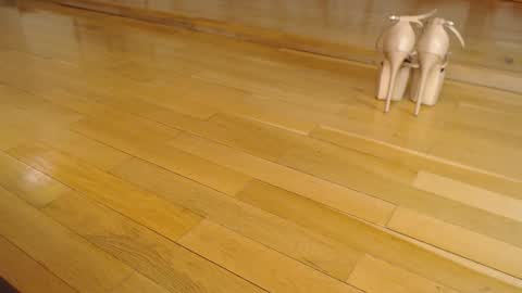 Megan online show from November 28, 4:26 am