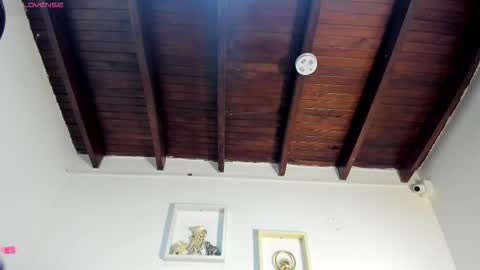 vahioleth  online show from November 27, 3:09 am