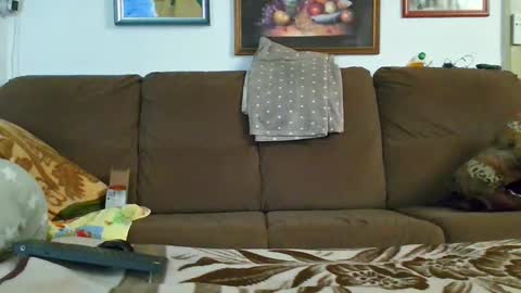 Snapshot of valemer chatting on January 1, 4:50 am Cheating Slut online show from January 1, 4:50 am