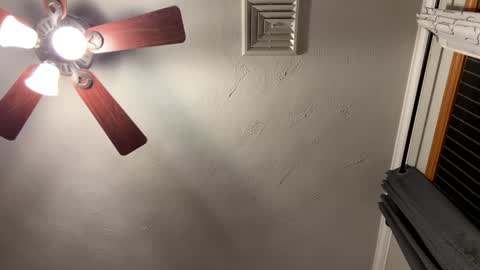 vanessa online show from November 4, 12:15 am