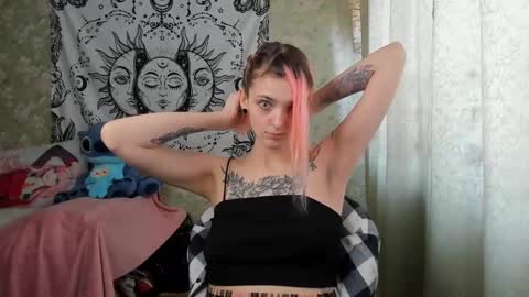 Snapshot of vanilla_arya chatting on February 20, 7:01 am Adelina online show from February 20, 7:01 am