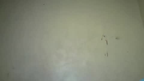 Vee tommy online show from January 3, 1:47 pm