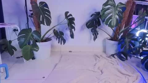 Vicky Greys online show from October 20, 7:06 pm