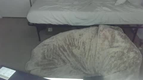 violet_winter97 online show from December 2, 9:54 am