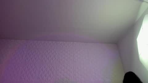     online show from May 11, 9:34 pm
