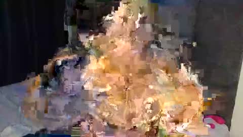 Ashley online show from December 16, 2:28 am