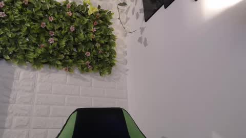 Trixie 3 online show from February 11, 2:46 pm