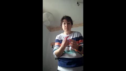 WildPersia online show from March 2, 9:05 am