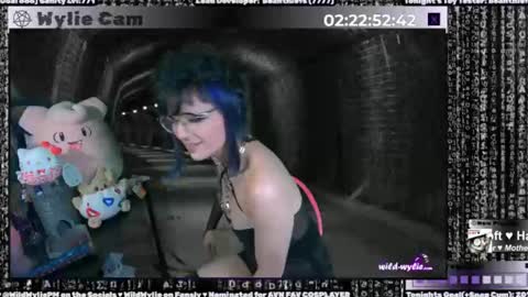 Wylie Wanderlust online show from January 15, 4:57 am