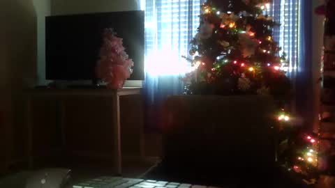 WishGoddes online show from November 21, 6:32 pm