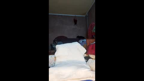 Xelenaxcbbs online show from April 26, 11:46 pm