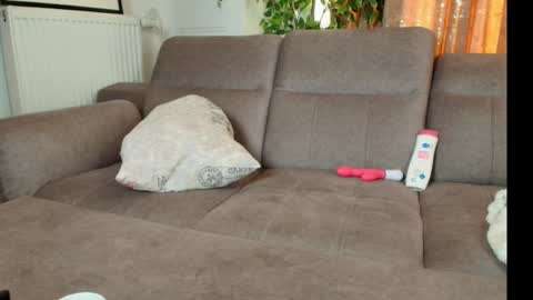 Cherry online show from March 1, 6:02 am