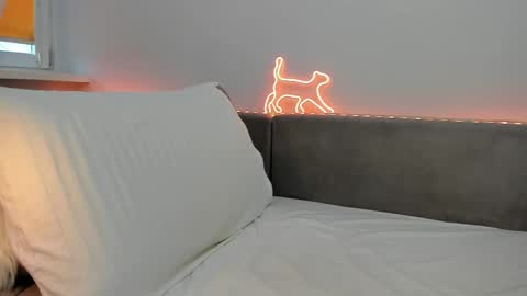 Your Librarian online show from February 7, 12:53 pm