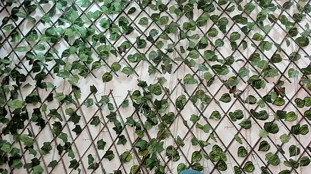 AlondraFerri1 online show from December 19, 3:32 am