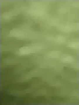 tamilachi4u online show from October 1, 3:44 am