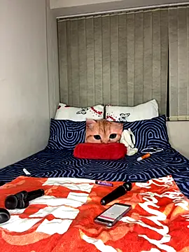 Kinkyy  online show from October 3, 10:48 pm