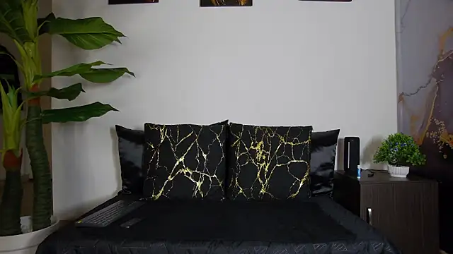 alex noa online show from February 16, 2:17 pm