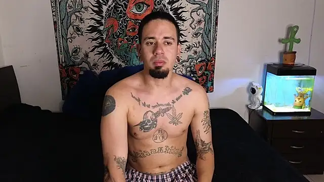 tony and sophia online show from February 12, 11:01 am