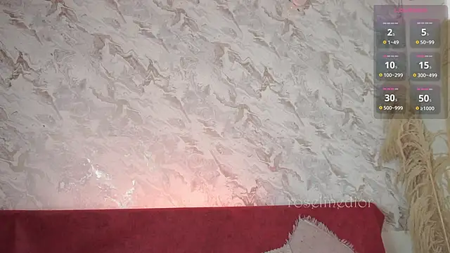 roselinedior online show from November 20, 2:18 pm