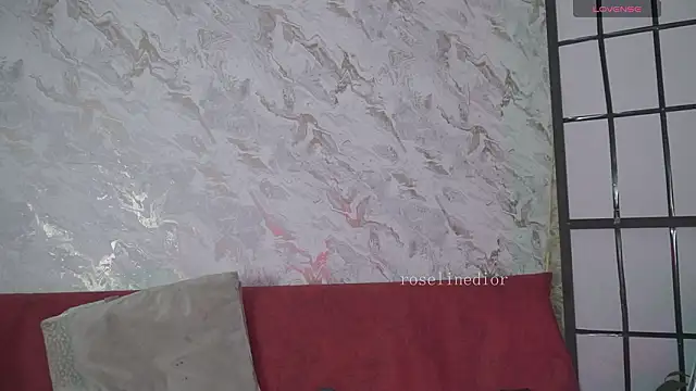 roselinedior online show from March 17, 2:21 pm