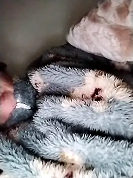 nayakaA7 online show from March 15, 9:22 am