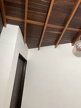 PUSHYLATE online show from October 25, 2:41 am