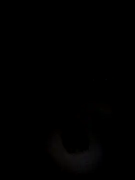 SriHotx online show from April 15, 11:55 am