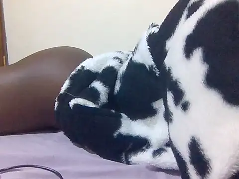 African ass20 online show from January 8, 5:39 pm