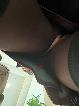 eveangelll online show from February 4, 8:39 am