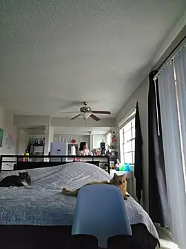 honeeyyy pot online show from January 7, 11:08 pm