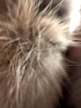 Syka0001 online show from October 11, 5:48 pm