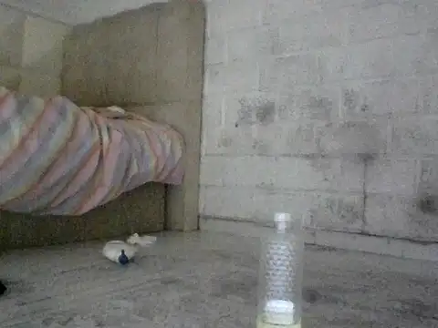 Snapshot of VanillaSeXy chatting on September 20, 11:25 pm VanillaSeXy online show from September 20, 11:25 pm