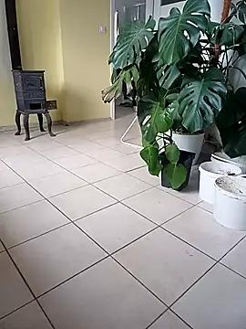 Tortuga95PL online show from February 11, 11:33 am