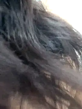 Noorkhatoon online show from January 16, 2:51 am