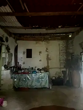 amy gata online show from November 15, 10:16 am