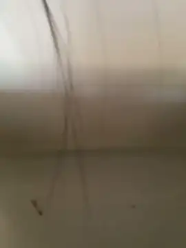 Pretty Isadora online show from October 21, 3:38 pm