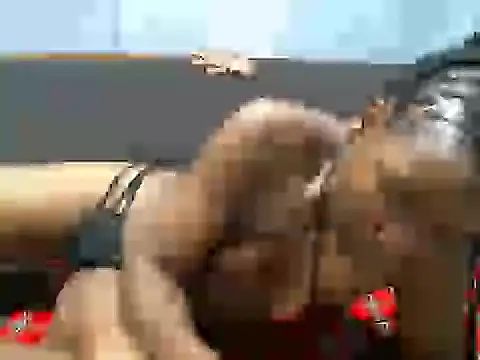 cocolicky online show from November 24, 7:16 pm