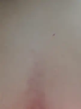 AmandaS2k online show from April 1, 3:42 pm