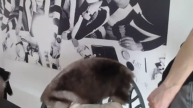 godinflower online show from February 21, 2:18 pm