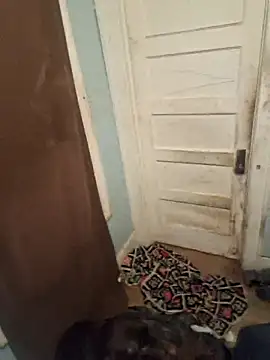 mcv131985 online show from November 1, 5:44 am