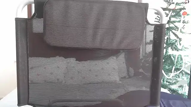 shimoona online show from December 17, 4:38 am