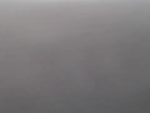 queen sheeya online show from November 22, 9:01 am