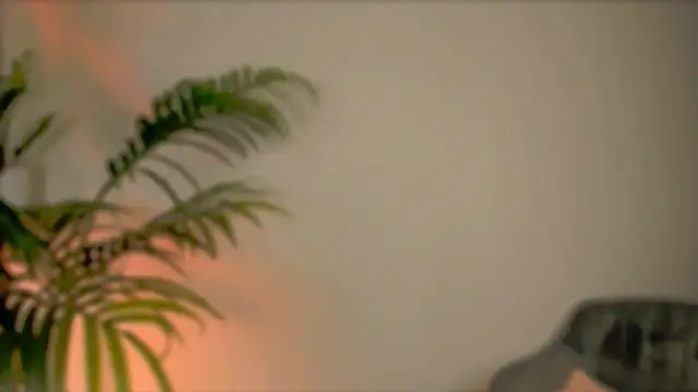 wildfllower online show from October 13, 2:14 am